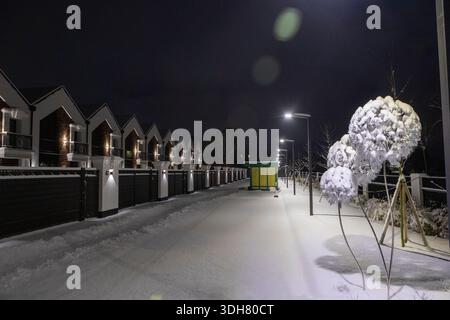 Huge sculptures of dandelions covered in snow at night Stock Photo