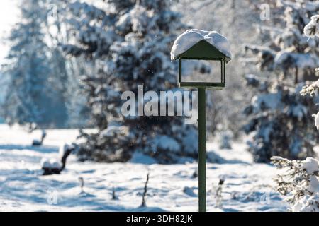 A cozy bird feeder covered in frost and snow in a sunny winter forest. The serene environment and bright light capture a perfect morning in nature, em Stock Photo