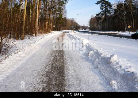 Winter pedestrian walkway covered with snow and treated with anti-slip gravel for safety, running beside a forest road in cold weather, Latvia Stock Photo