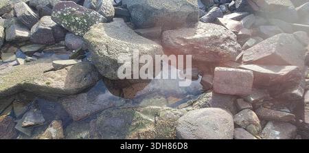 Tide pool reflecting rocks and water on a rugged natural coastline Stock Photo