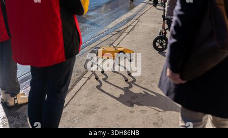 Robot dog showcasing futuristic logistics and parcel delivery on a sidewalk Stock Photo