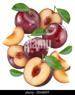 Plum with leaves isolated on white fresh and ripe plum. Fresh organic plum. Flying plums Stock Photo