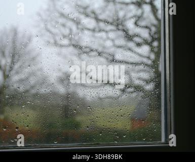 Window covered with raindrops with trees in England on a rainy day. Stock Photo