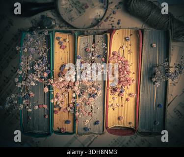 Stacked antique books with dried flowers placed between the pages. Vintage style photographs. Old books with flowers close-up Stock Photo