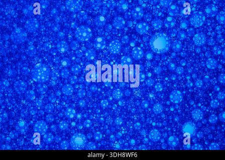 A blue background with many small blue circles. The circles are of different sizes and are scattered throughout the image Stock Photo