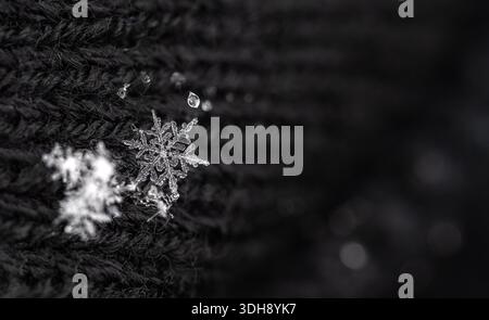 A snowflake is on a black sweater. The snowflake is small and white. The sweater is black and has a shiny appearance Stock Photo