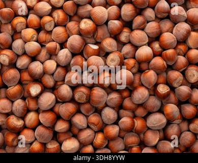 A close up of a pile of hazelnuts, including almonds and walnuts. The nuts are scattered all over the image, with some of them being larger than other Stock Photo