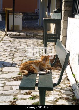 Ginger tabby cat enjoying a lazy day in the spring sunshine in Xanthates, Corfu, Greece Stock Photo