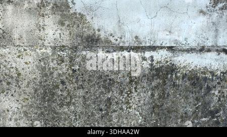 Close-up of an aged concrete wall with heavy mold staining, fine cracks, and a rough, distressed surface texture. Stock Photo