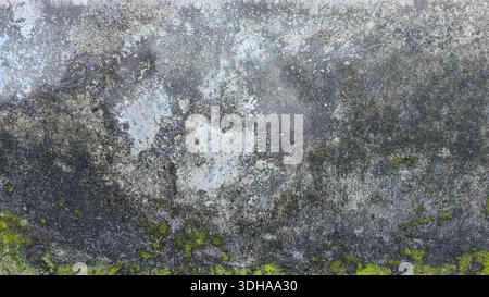 Close-up of a textured, aged concrete wall showing dark mold stains, white patches, and green moss growth along the bottom edge. Stock Photo