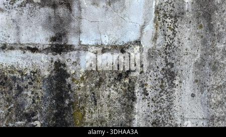 Close-up shot of a weathered concrete wall with cracks, peeling paint, and dark mold growth creating a gritty, aged texture. Stock Photo
