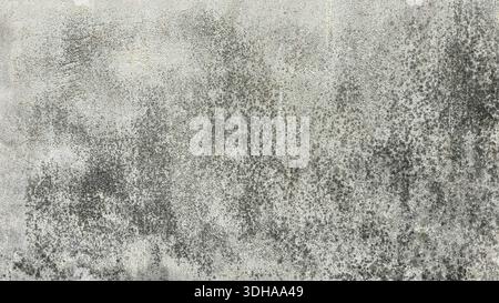 Close-up of an aged and weathered concrete wall featuring extensive black mold growth and a rough, grainy texture. Stock Photo