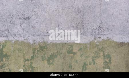 Close-up of a weathered wall with a horizontal division between greyish-white and distressed olive green paint, showing fine cracks and a textured, ag Stock Photo