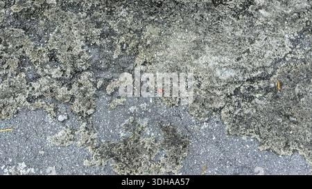 High-angle shot of a rough, weathered concrete surface featuring dark grey patches, mossy textures, and fine gravel details for a gritty background. Stock Photo