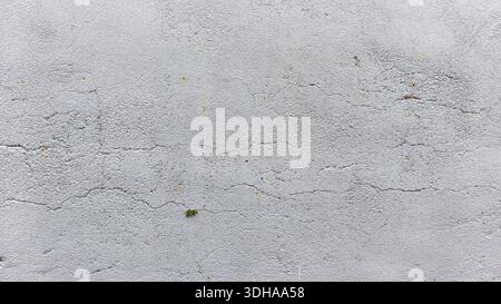 Close-up of a weathered white plaster wall with horizontal cracks, grainy texture, and a small patch of green moss growing from a crevice. Stock Photo