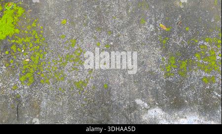 High-angle shot of a weathered grey concrete surface covered with patches of vibrant green moss and damp areas, creating a natural, aged texture. Stock Photo