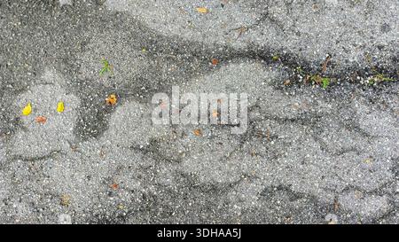High-angle shot of weathered asphalt pavement featuring cracks, small scattered leaves, and tiny weeds growing through the textured grey surface. Stock Photo