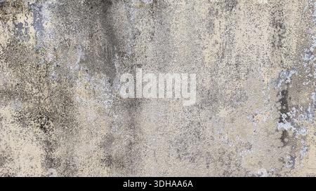 A high-resolution texture of an old, weathered concrete wall with mold stains and peeling paint, creating a gritty, urban grunge background. Stock Photo