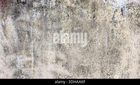 A high-resolution texture of an old, weathered concrete wall with mold stains and peeling paint, creating a gritty, urban grunge background. Stock Photo