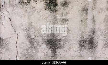 Detailed view of a weathered concrete wall featuring dark mold stains, fine surface grain, and a prominent vertical crack, ideal for gritty industrial Stock Photo