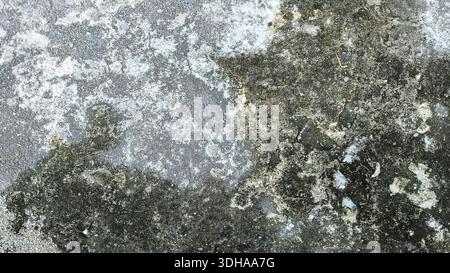 Top-down view of an old, weathered concrete floor showing patches of dark green moss, mineral efflorescence, and a rough, grainy texture. Stock Photo