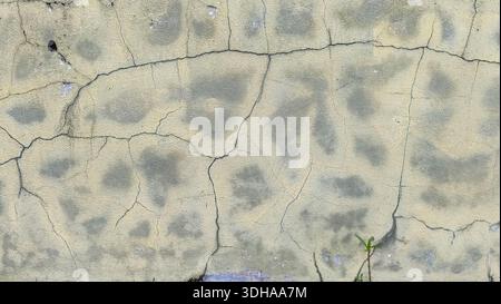Close-up of an old, weathered concrete wall with deep cracks, peeling paint, and a distressed texture in muted grey and beige tones. Stock Photo