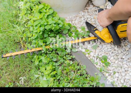 Top view of man hand holding and using hedge trimmer machine for bush trimming. Electric pruning saw concept. Stock Photo