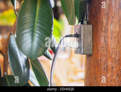 Black and white electrical plugs from an electrical appliance in the electric socket on a wooden pole in a nature cafe. Interior Stock Photo