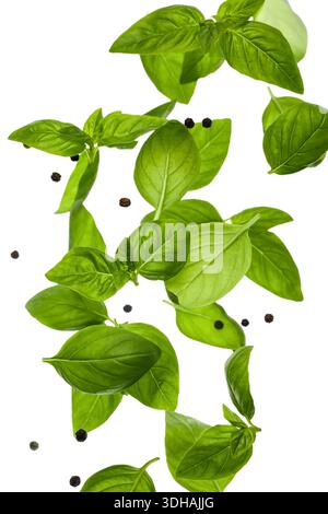 Basil leaves with peppercorns on white background Stock Photo