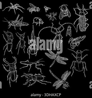 Tree beetle, rhinoceros beetle and bumblebee, flies and bees, set of white silhouettes. Vector illustration. A simple drawing of insects, dragonflies Stock Vector