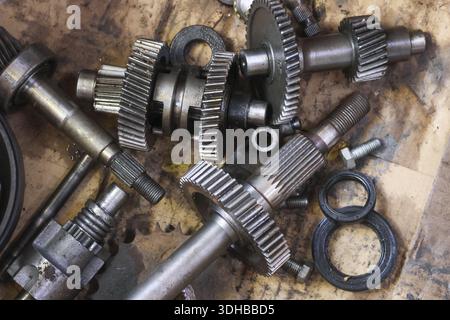 Old dirty metal gear parts from car gearbox lying on oily cardboard showing industrial mess and broken machine components in garage repair shop for se Stock Photo