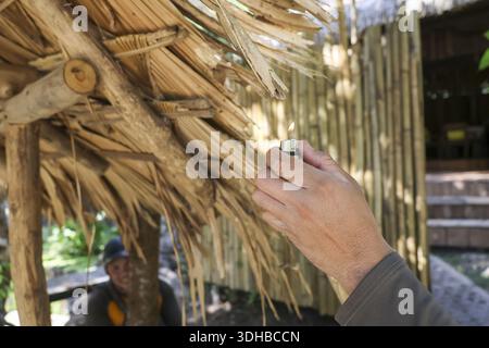 Close up hand touching traditional thatch roof made from dried leaf showing rustic texture and craftsmanship with peaceful rural atmosphere Stock Photo