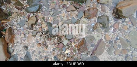 Multicolored pebbles and stones submerged in shallow water Stock Photo