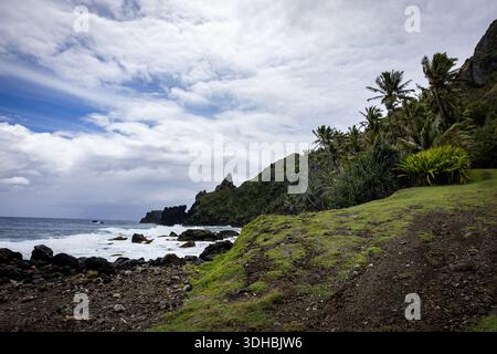 View of rugged, dark volcanic rocks meet the turquoise sea under a dynamic sky, framed by vibrant green foliage and swaying palm trees, Adamstown, Pit Stock Photo