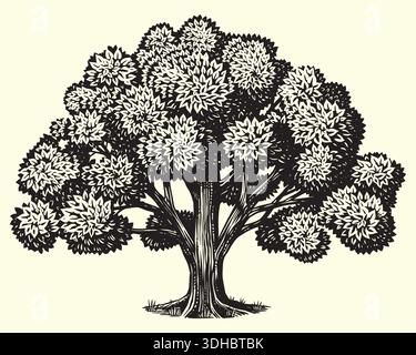 Old oak tree drawing. Black and white hand drawn engraving as a symbol of home, steady and peace. Can be recognised as ash or walnut. Stock Vector