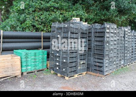 An outdoor agricultural or industrial storage yard features tall stacks of black and green reusable plastic crates on wooden pallets. Stock Photo