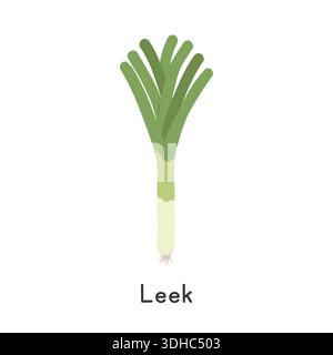 Leek Flat Cartoon Vector Illustration Isolated on White Background. Leek Clipart Stock Vector