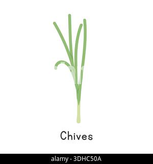 Chives Flat Cartoon Vector Illustration Isolated on White Background. Chives Clipart Stock Vector