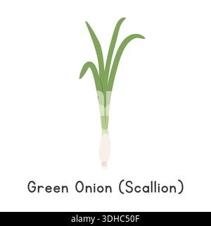 Green Onion (Scallion) Flat Cartoon Vector Illustration Isolated on White Background. Scallion Clipart Stock Vector