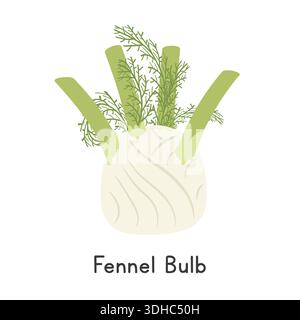 Fennel Bulb Flat Cartoon Vector Illustration Isolated on White Background. Fennel Bulb Clipart Stock Vector