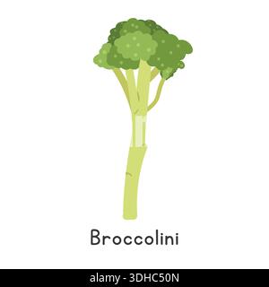 Broccolini Flat Cartoon Vector Illustration Isolated on White Background. Baby Broccoli Clipart Stock Vector