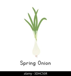 Spring Onion Flat Cartoon Vector Illustration Isolated on White Background Stock Vector