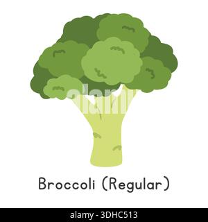 Broccoli Flat Cartoon Vector Illustration Isolated on White Background. Broccoli Clipart Stock Vector