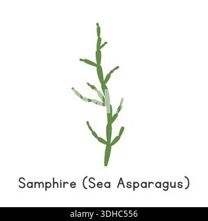 Samphire (Sea Asparagus) Flat Cartoon Vector Illustration Isolated on White Background Stock Vector