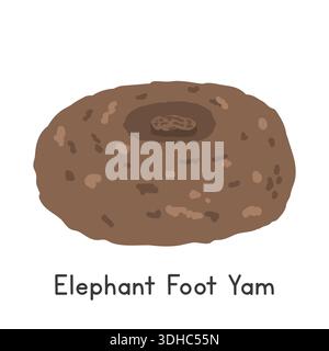 Elephant Foot Yam Flat Cartoon Vector Illustration Isolated on White Background Stock Vector