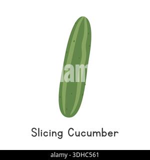 Cucumber Flat Cartoon Vector Illustration Isolated on White Background. Slicing Cucumber Clipart Stock Vector
