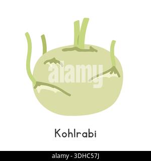 Kohlrabi Flat Cartoon Vector Illustration Isolated on White Background. Kohlrabi Clipart Stock Vector