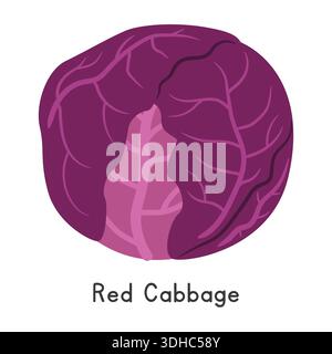 Red Cabbage Flat Cartoon Vector Illustration Isolated on White Background. Red Cabbage Clipart Stock Vector