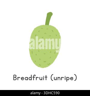 Breadfruit Flat Cartoon Vector Illustration Isolated on White Background. Breadfruit Clipart Stock Vector