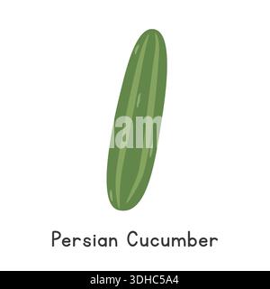 Persian Cucumber Flat Cartoon Vector Illustration Isolated on White Background Stock Vector